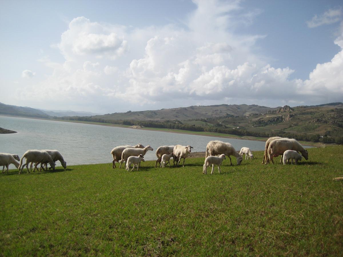 Oasi Del Lago Regalbuto Zewnętrze zdjęcie